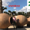 Anforas